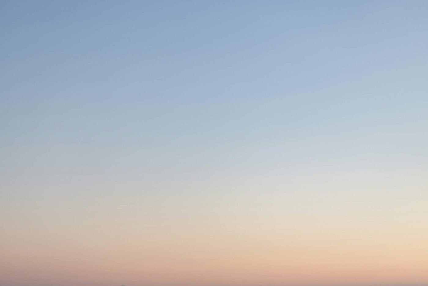 Assure polite his really and others figure though